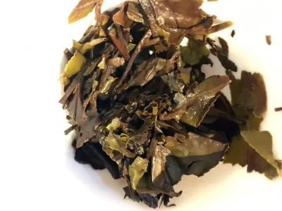Gong Mei 2018 Fang Cha 100g